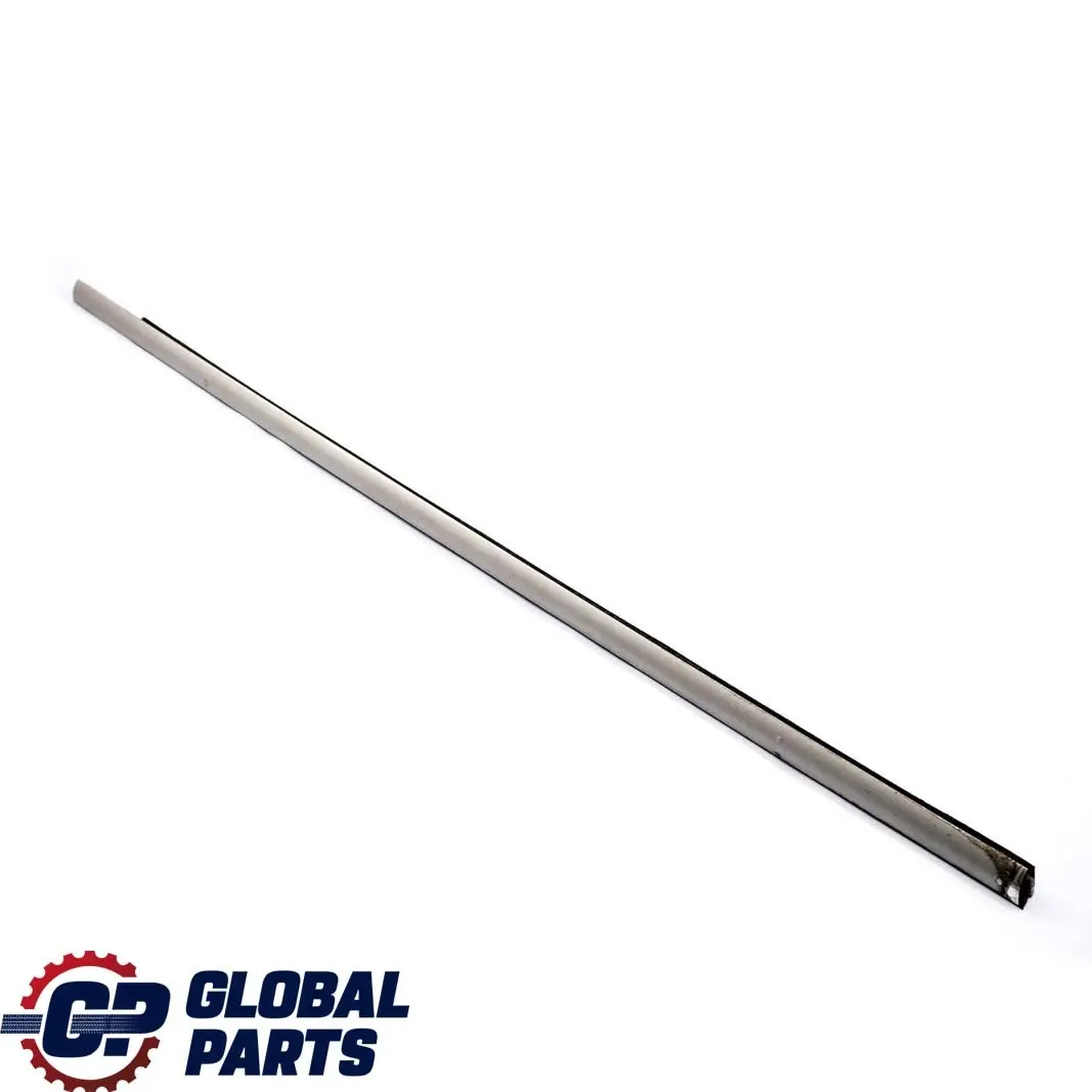 BMW X5 E53 Striscia Paraspruzzi Esterna Porta Anteriore Destra Titan - SKU 8257720 - Numero di parte 8257720