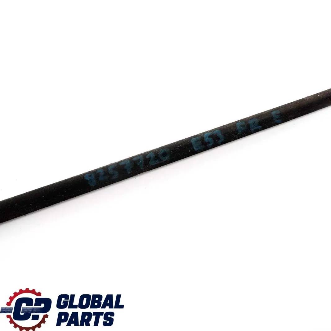 Bande d'étancheite Exterieure Porte Avant Droite Titan pour BMW X5 E53 à propos du numéro de pièce 8257720 BMW X5 E53 Bande d'étancheite Exterieure Porte Avant Droite Titan - SKU 8257720 - Numéro de pièce 8257720