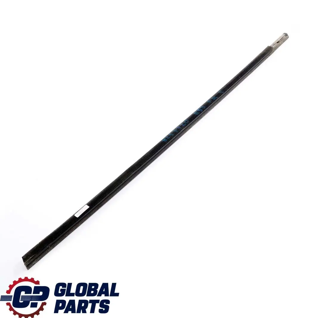 BMW X5 E53 Striscia Paraspruzzi Esterna Porta Anteriore Destra Titan - SKU 8257720 - Numero di parte 8257720