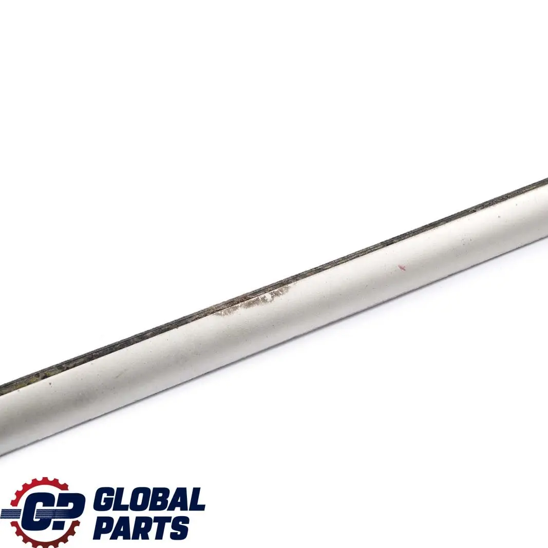 Puerta Trasera Derecha Burlete Exterior Titan para BMW E53 1 con número de pieza 8257734 BMW E53 1 Puerta Trasera Derecha Burlete Exterior Titan - SKU 8257734-1 - Número de pieza 8257734