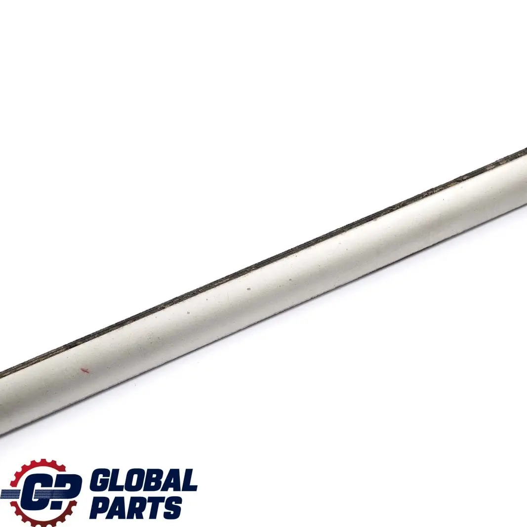 Puerta Trasera Derecha Burlete Exterior Titan para BMW E53 1 con número de pieza 8257734 BMW E53 1 Puerta Trasera Derecha Burlete Exterior Titan - SKU 8257734-1 - Número de pieza 8257734