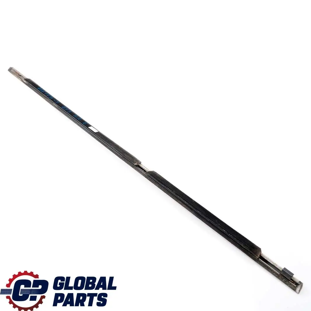 Puerta Trasera Derecha Burlete Exterior Titan para BMW E53 1 con número de pieza 8257734 BMW E53 1 Puerta Trasera Derecha Burlete Exterior Titan - SKU 8257734-1 - Número de pieza 8257734