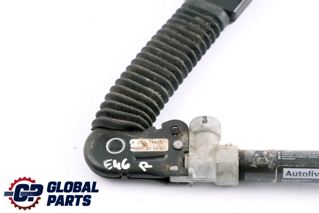 BMW 3 er E46 Untergurt mit Gurtstrammer Rechts - SKU 8257788 - Teilenummer 8257788