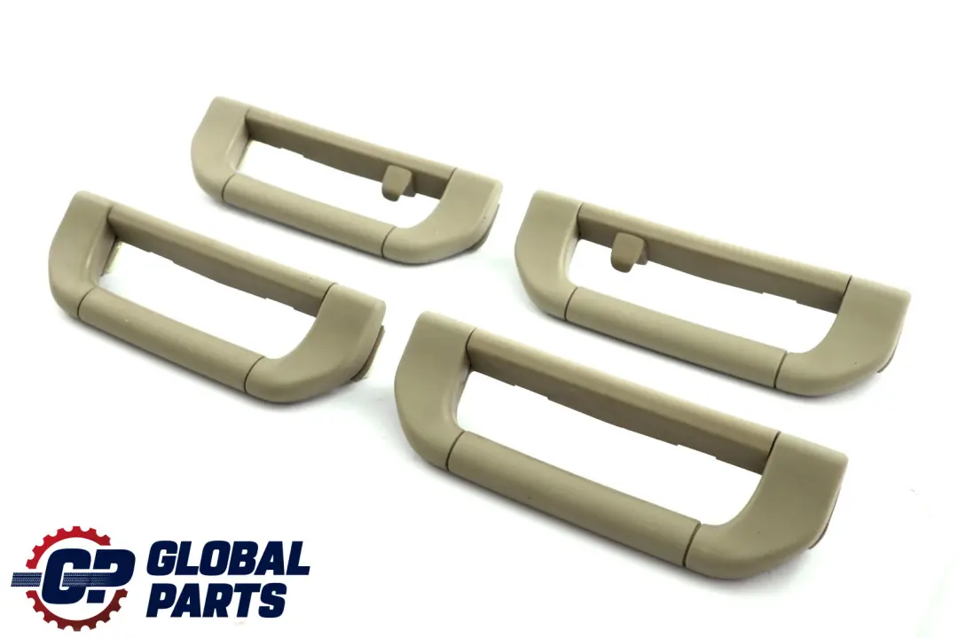 Interior Over Head Liner Grab Handle Set Pastell Green to BMW X5 Series E53 with Part number 8258063 BMW X5 Series E53 Interior Over Head Liner Grab Handle Set Pastell Green - SKU 8258063 - Part number 8258063