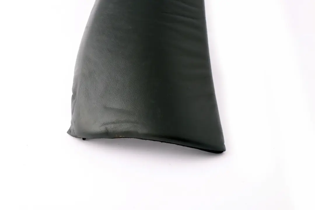 Reihe E53 Sitzseitenverkleidung hinten links SCHWARZ BLACK Leder BMW X5 - SKU 8258399 - Teilenummer 8258399