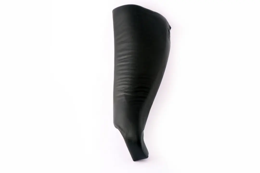 Reihe E53 Sitzseitenverkleidung hinten links SCHWARZ BLACK Leder BMW X5 - SKU 8258399 - Teilenummer 8258399