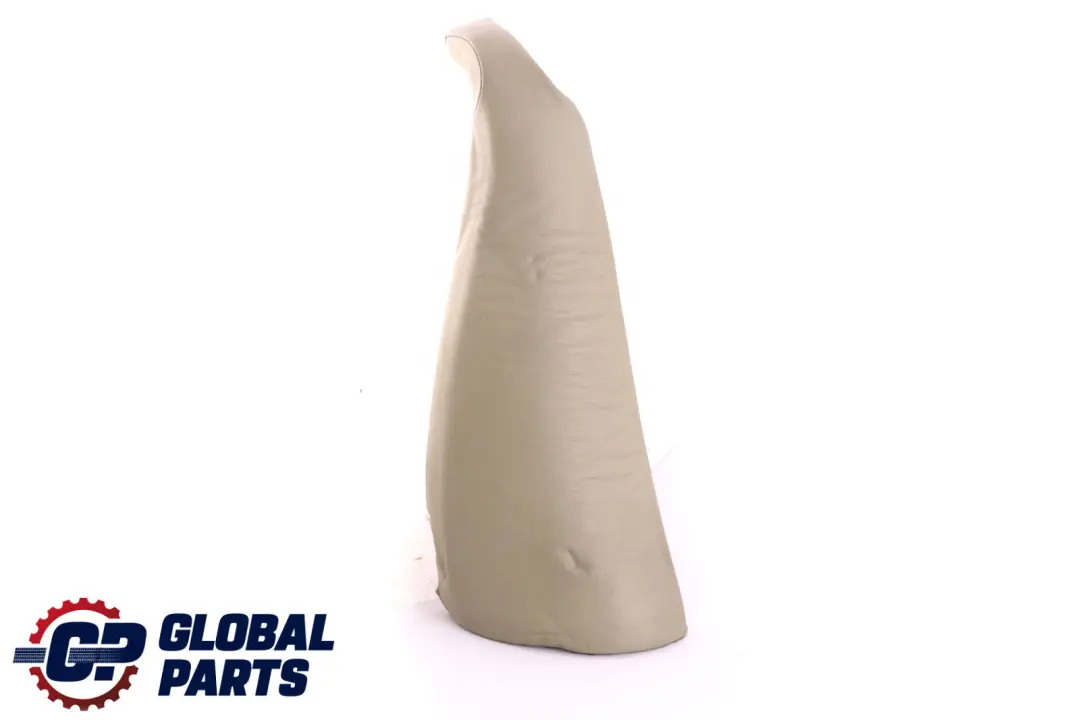 Laterale Verde Pastello Pelle Posteriore Sinistra 5220 per BMW X5 E53 con numero di parte 8258405 BMW X5 E53 Laterale Verde Pastello Pelle Posteriore Sinistra 5220 - SKU 8258405 - Numero di parte 8258405