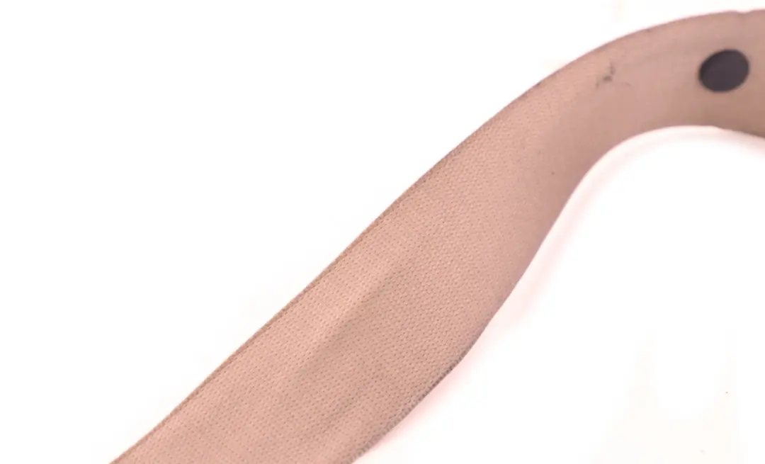 Membrure Superieure Arriere Gauche Clair Beige pour BMW X5 E53 à propos du numéro de pièce 8259001 BMW X5 E53 Membrure Superieure Arriere Gauche Clair Beige - SKU 8259001 - Numéro de pièce 8259001