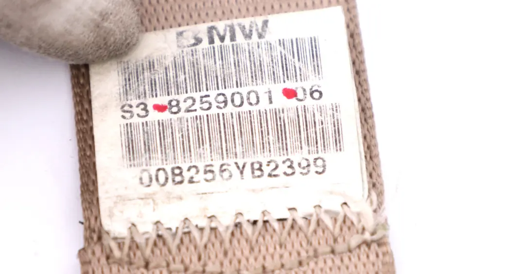 Membrure Superieure Arriere Gauche Clair Beige pour BMW X5 E53 à propos du numéro de pièce 8259001 BMW X5 E53 Membrure Superieure Arriere Gauche Clair Beige - SKU 8259001 - Numéro de pièce 8259001