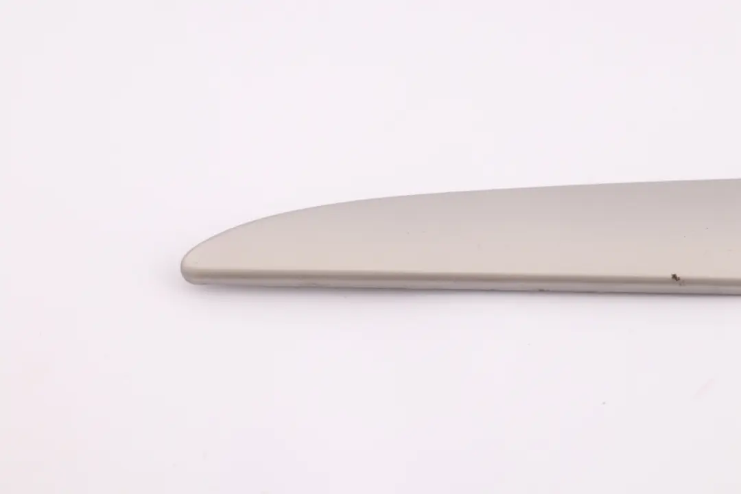 Decor Strip Door Cover Front Left Titan 2 Silver N/S BMW X5 Series E53 - SKU 8261743 - Part number 8265483