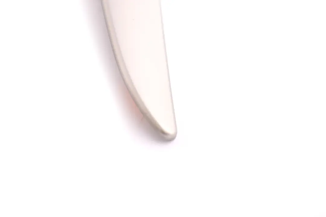BMW X5 Series 1 E53 Door Trim Cover Panel Rear Left Titan 2 Silver N/S - SKU 8261753-1 - Part number 8265479