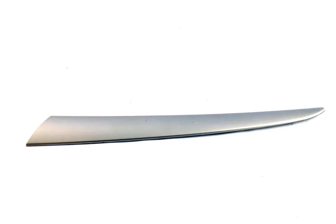 BMW E53 Puerta Cubre Panel Trasero Izquierdo Titan 2 Plata - SKU 8261753 - Número de pieza 8265479