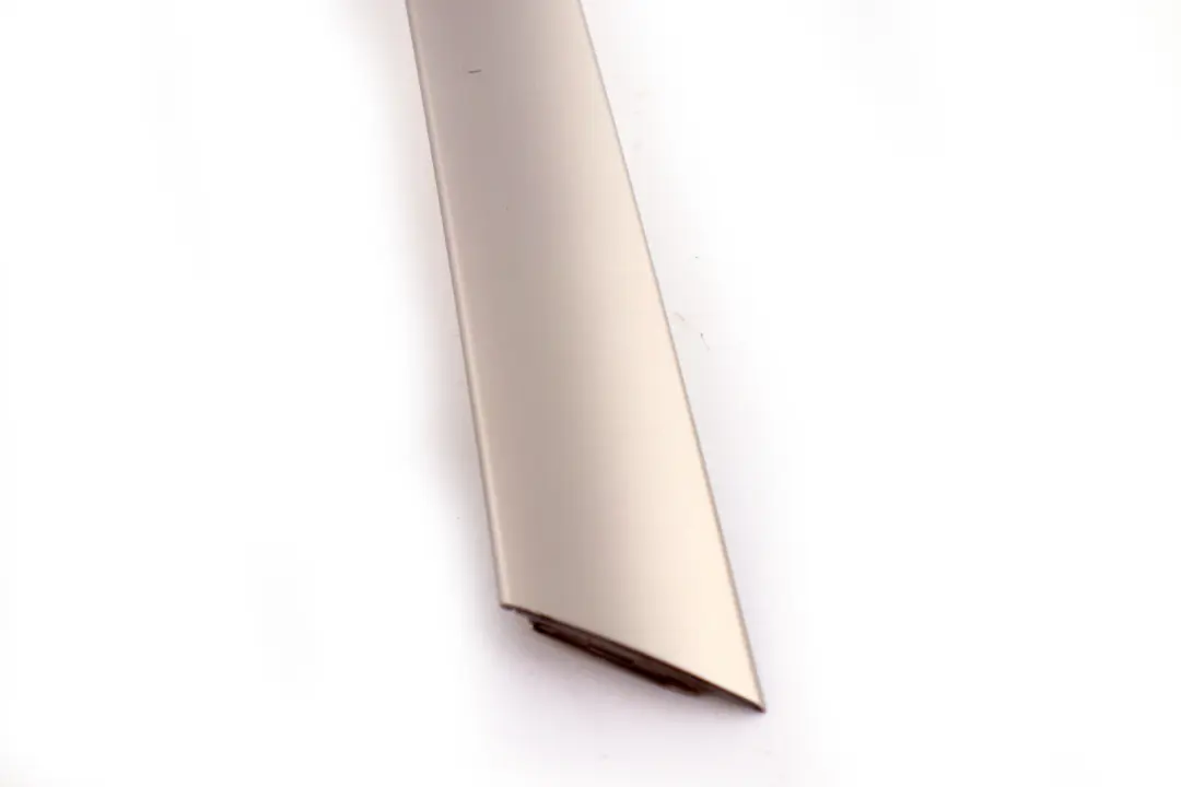 BMW E53 Puerta Cubre Panel Trasero Izquierdo Titan 2 Plata - SKU 8261753 - Número de pieza 8265479