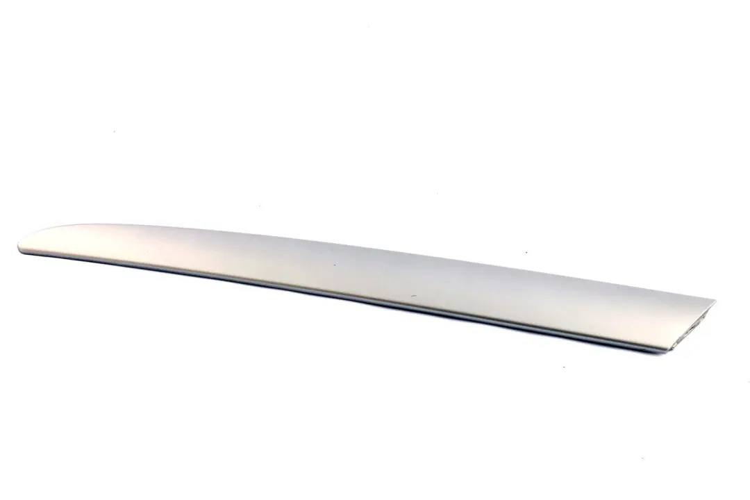 BMW E53 Puerta Cubre Panel Trasero Izquierdo Titan 2 Plata - SKU 8261753 - Número de pieza 8265479