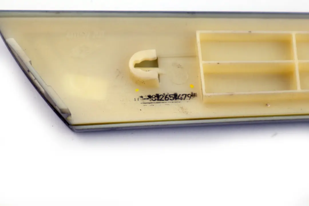 BMW E53 Puerta Cubre Panel Trasero Izquierdo Titan 2 Plata - SKU 8261753 - Número de pieza 8265479
