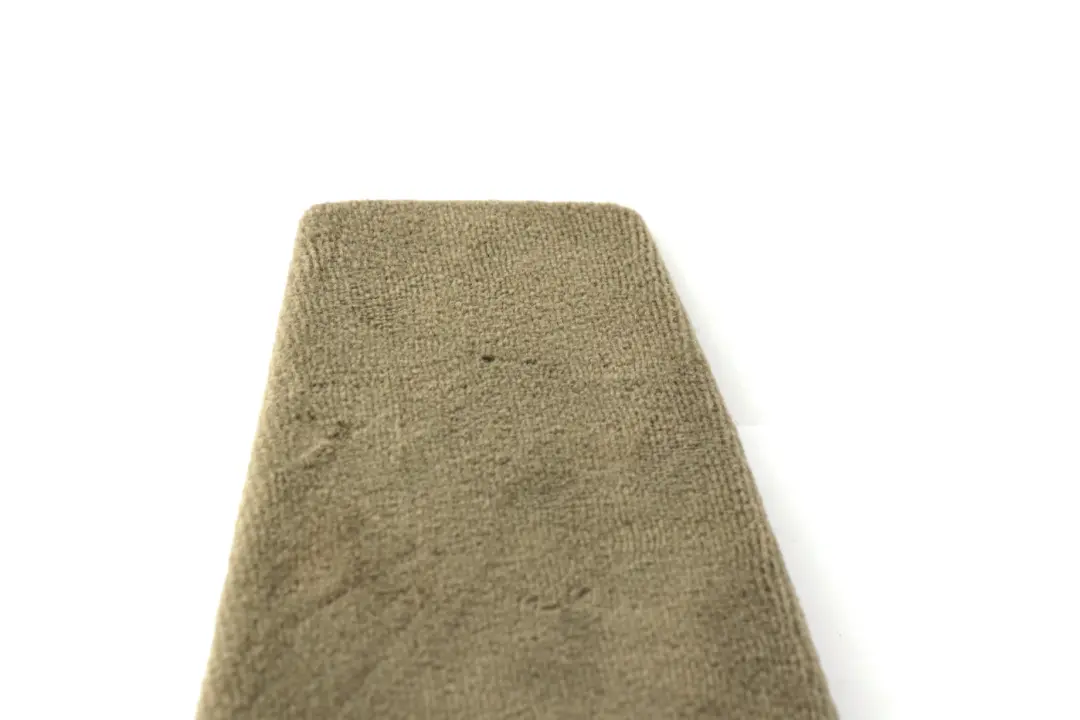 Left Center Console Trim Panel Pastell Green to BMW X5 Series E53 Rear with Part number 8250101 BMW X5 Series E53 Rear Left Center Console Trim Panel Pastell Green - SKU 8262849 - Part number 8250101