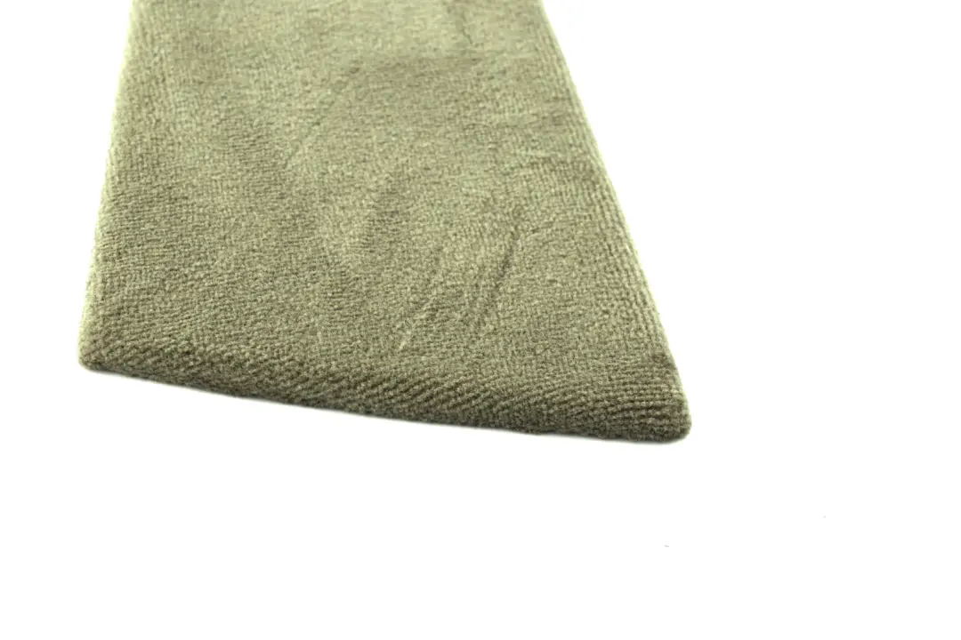 Consola Central Trasera Izquierda Embellecedor Verde Pastell para BMW E53 con número de pieza 8250101 BMW E53 Consola Central Trasera Izquierda Embellecedor Verde Pastell - SKU 8262849 - Número de pieza 8250101