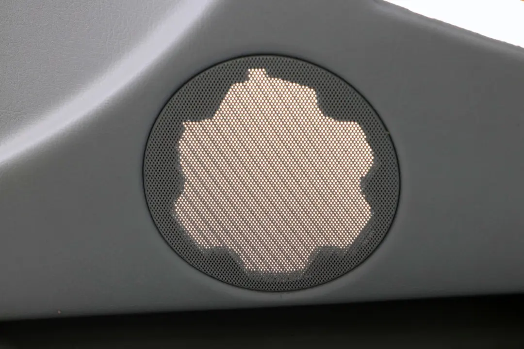 Reihe E53 Türverkleidung vorn rechts Leder Grau für BMW X5 mit Teilenummer 8264104 BMW X5 Reihe E53 Türverkleidung vorn rechts Leder Grau - SKU 8264104 - Teilenummer 8264104