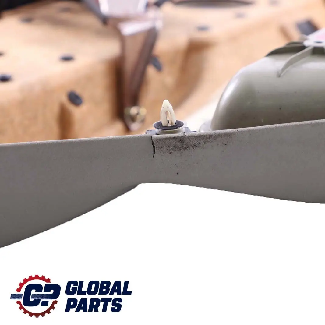 BMW X5 Reihe E53 Türverkleidung Hinten Rechts Pastellgrün Grün - SKU 8264306 - Teilenummer 8264306