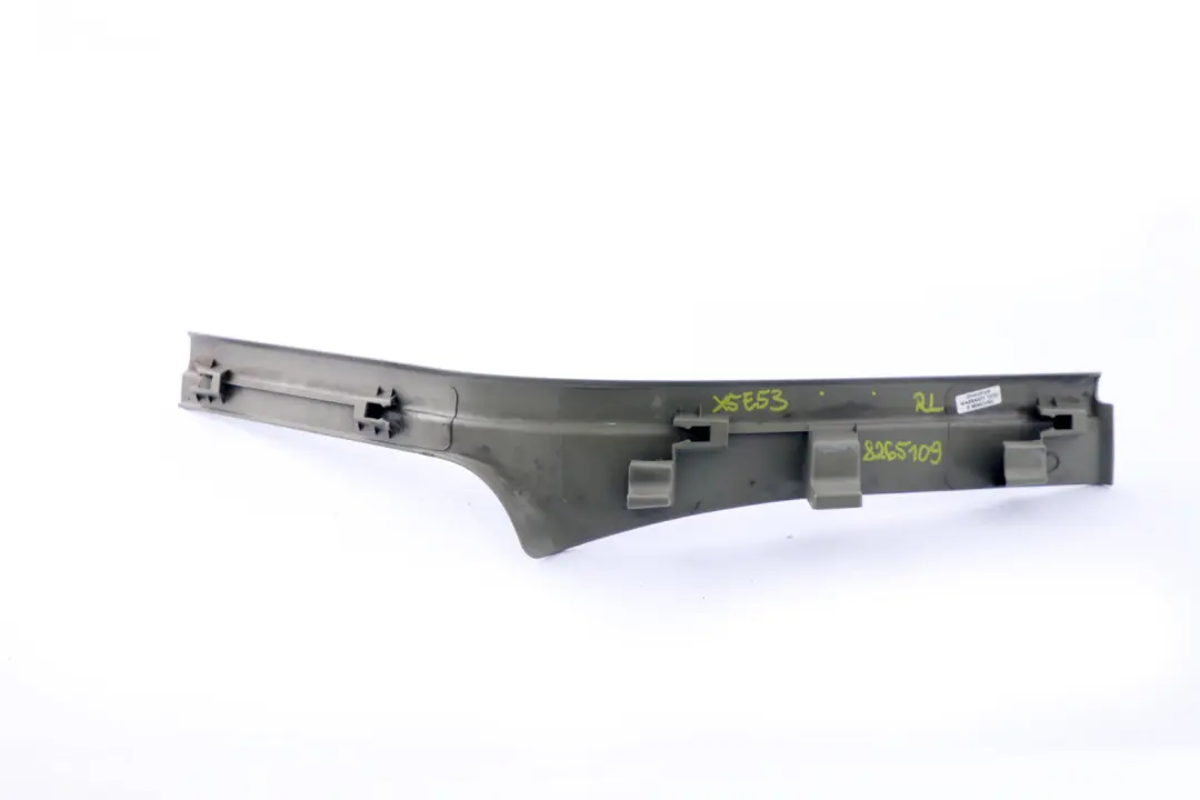 Left N/S Entrance Door Sill Cover Pastel Green 8402109 to BMW X5 Series E53 Rear with Part number 8265109 BMW X5 Series E53 Rear Left N/S Entrance Door Sill Cover Pastel Green 8402109 - SKU 8265109 - Part number 8265109