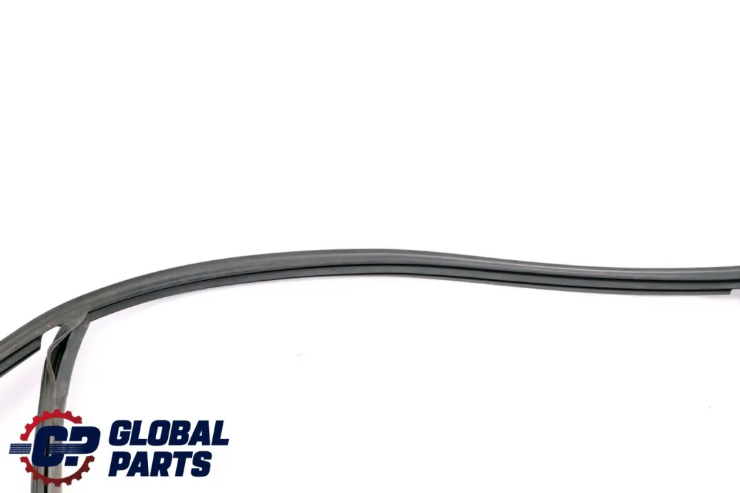 BMW 3 E46 Window Guide Seal Left Front Door - SKU 8266123 - Part number 8266123
