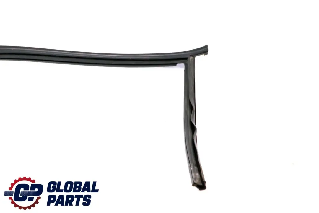 Guarnizione guida finestrino porta anteriore sinistra per BMW 3 E46 con numero di parte 8266123 BMW 3 E46 Guarnizione guida finestrino porta anteriore sinistra - SKU 8266123 - Numero di parte 8266123