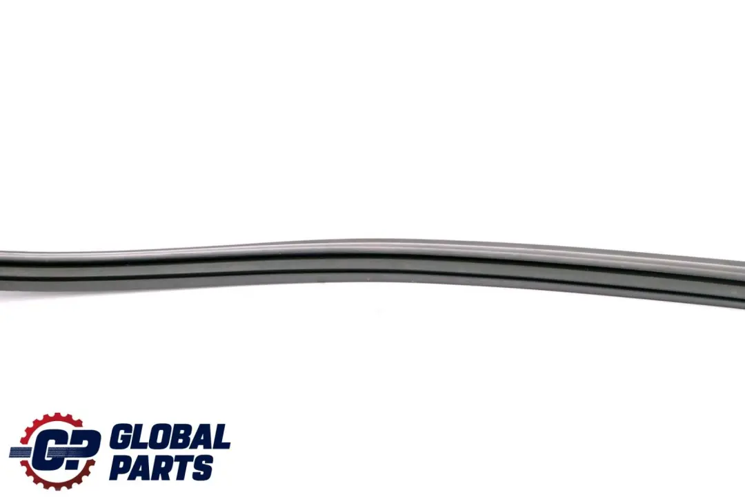 BMW E46 Guarnizione Guida Finestrino Destro Porta Anteriore - SKU 8266124 - Numero di parte 8266124
