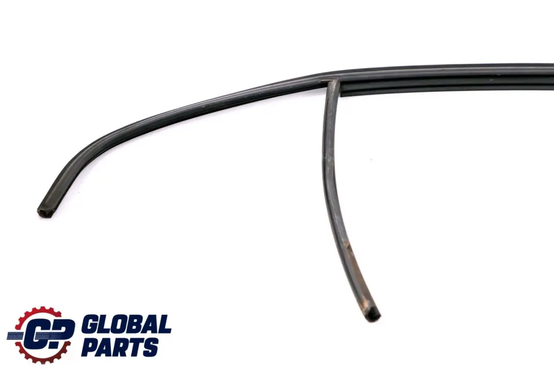 Guia Ventana de Puerta Trasera Derecha Sellado para BMW E46 Berlina con número de pieza 8266126 BMW E46 Berlina Guia Ventana de Puerta Trasera Derecha Sellado - SKU 8266126 - Número de pieza 8266126