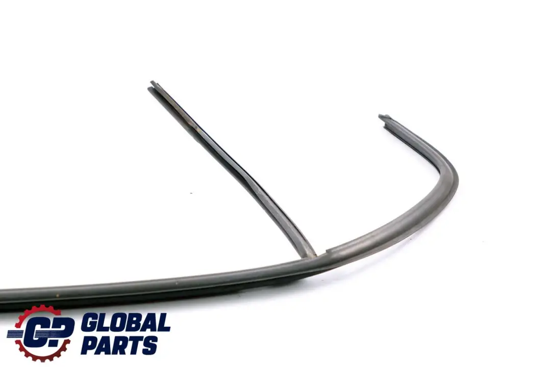 Binario Finestra Portiera Posteriore Destra per BMW E46 Berlina con numero di parte 8266126 BMW E46 Berlina Binario Finestra Portiera Posteriore Destra - SKU 8266126 - Numero di parte 8266126