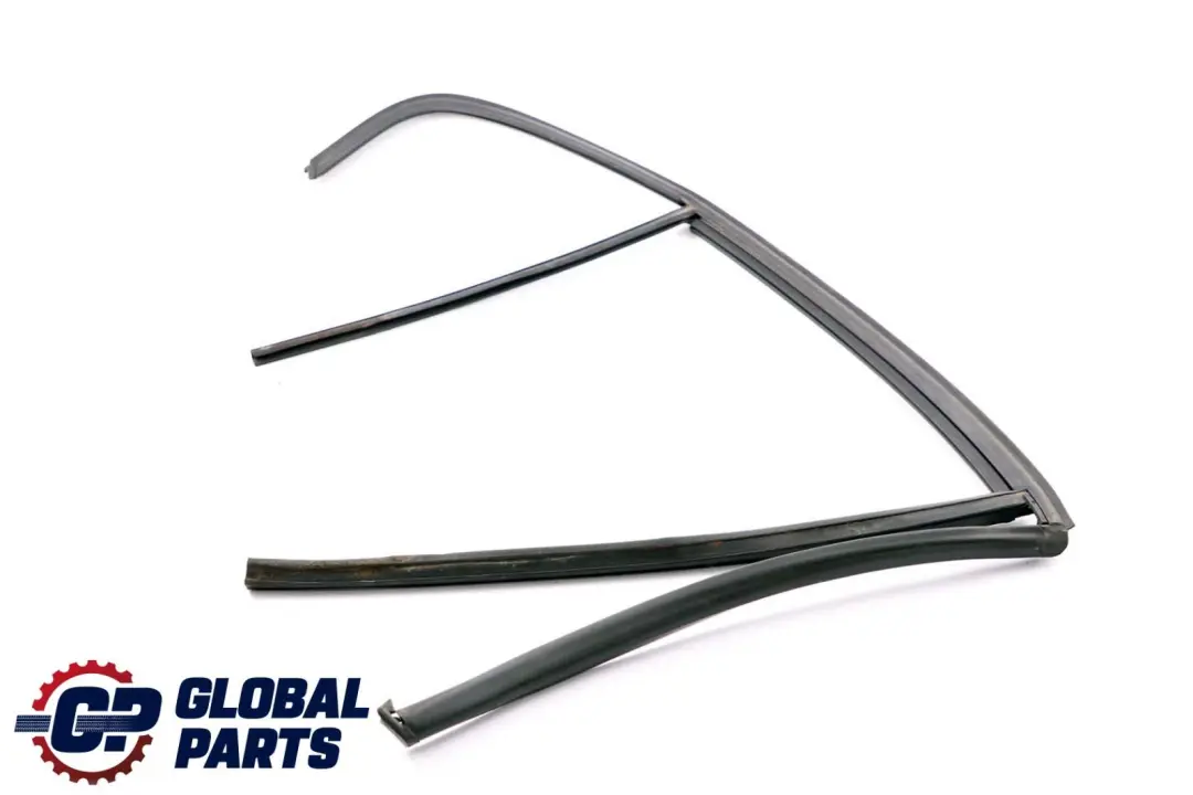 BMW E46 Berlina Binario Finestra Portiera Posteriore Destra - SKU 8266126 - Numero di parte 8266126