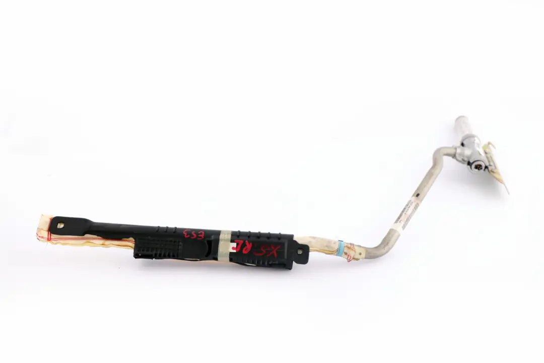 Hinten links N/S Head Air Modul Dachvorhang N/S für BMW X5 E53 mit Teilenummer 8267941 BMW X5 E53 Hinten links N/S Head Air Modul Dachvorhang N/S - SKU 8267941 - Teilenummer 8267941