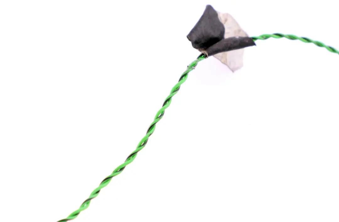 Hifi Altoparlante Portiera Tweeter Sinistro per BMW X5 E53 con numero di parte 8379369 BMW X5 E53 Hifi Altoparlante Portiera Tweeter Sinistro - SKU 8379369 - Numero di parte 8379369