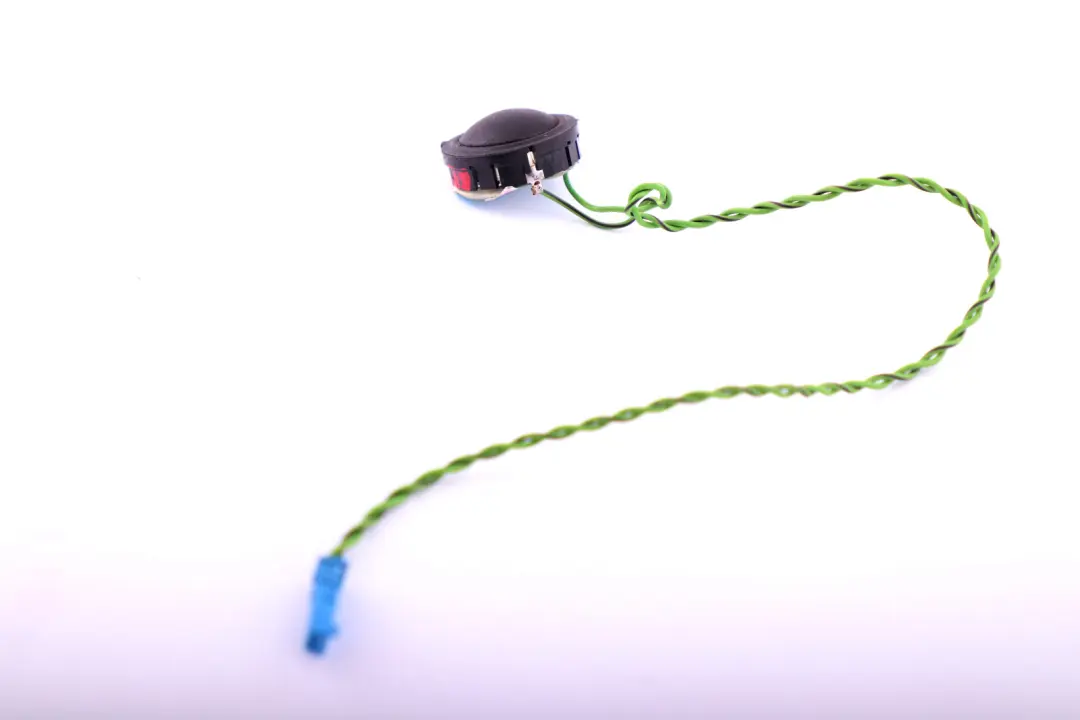 Hifi Loudspeaker Door Speaker Tweeter Right O/S to BMW X5 Series E53 with Part number 8379370 BMW X5 Series E53 Hifi Loudspeaker Door Speaker Tweeter Right O/S - SKU 8379370 - Part number 8379370