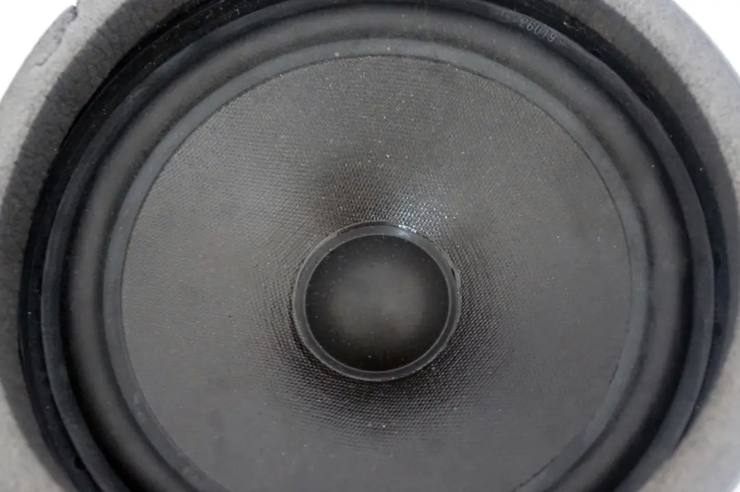 BMW X5 E53 Puerta Trasera Hi-Fi Altavoz Hifi Izquierdo - SKU 8380583 - Número de pieza 8380583