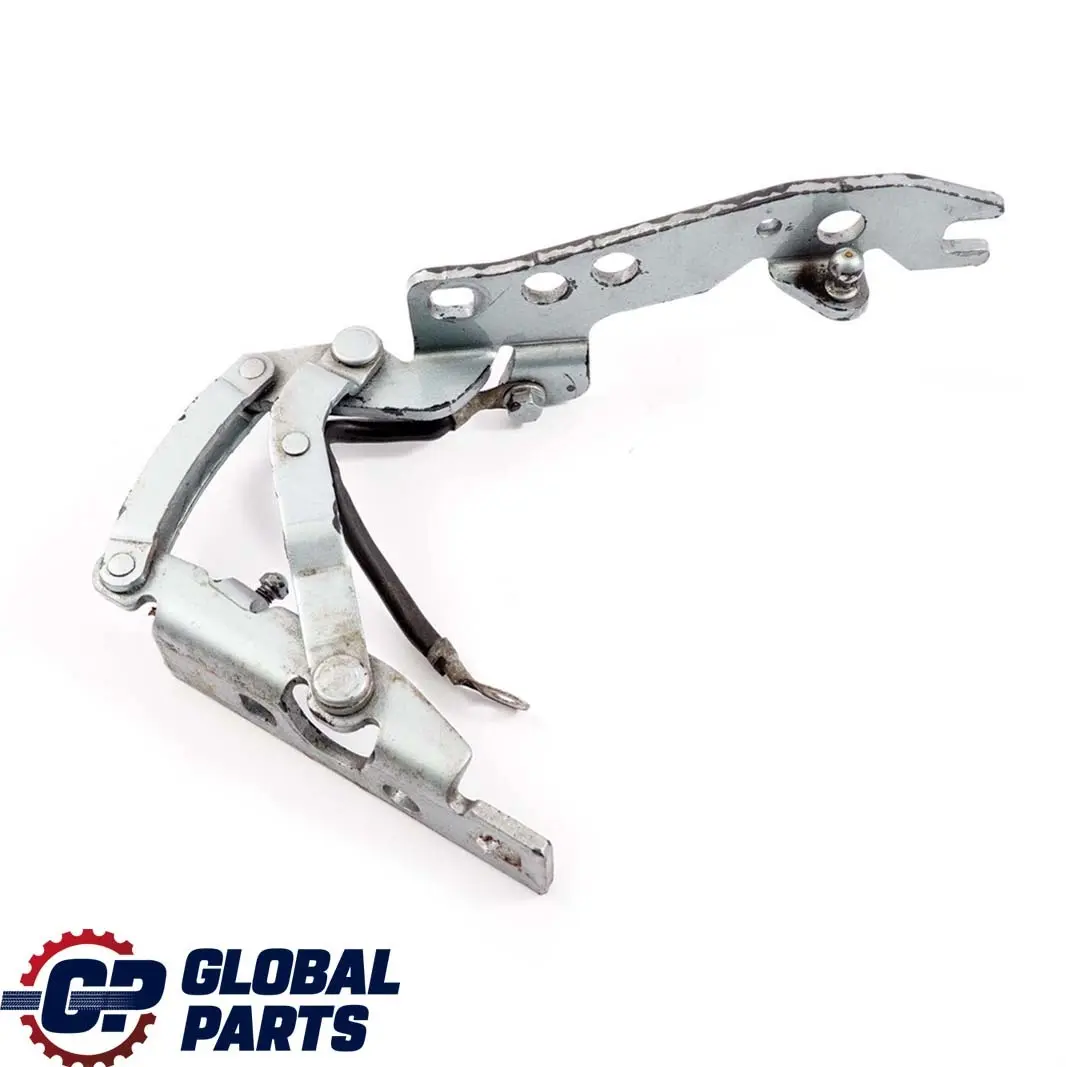 BMW X5 E53 Motor Izquierdo Capo Bisagra Capo Graugruen Gris Verde 442 - SKU 8402173-GG - Número de pieza 8402173