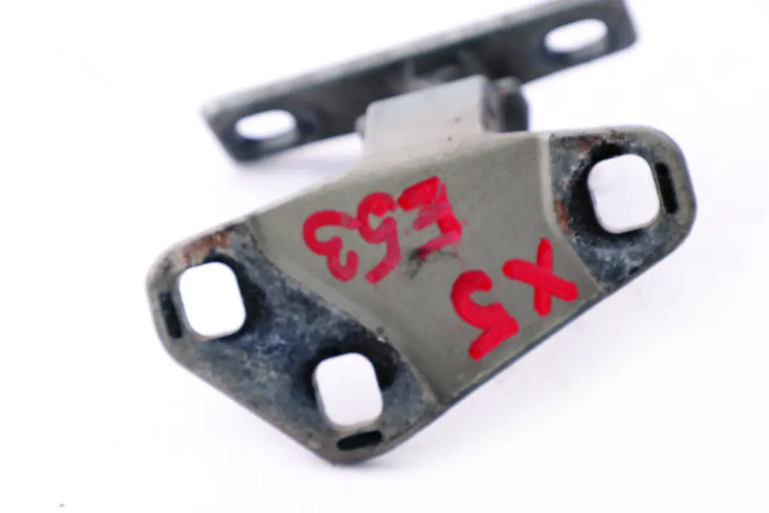 Maletero Tapa Inferior Bisagra Izquierda Derecha N/ Gris Verde para BMW E53 con número de pieza 8402183 BMW E53 Maletero Tapa Inferior Bisagra Izquierda Derecha N/ Gris Verde - SKU 8402183-GG - Número de pieza 8402183