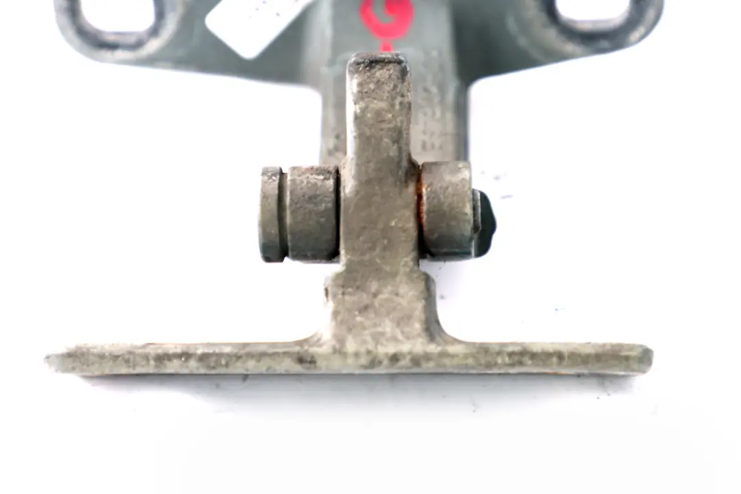 BMW E53 Maletero Tapa Inferior Bisagra Izquierda Derecha N/ Gris Verde - SKU 8402183-GG - Número de pieza 8402183