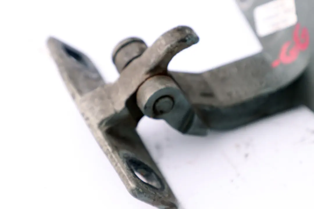 Maletero Tapa Inferior Bisagra Izquierda Derecha N/ Gris Verde para BMW E53 con número de pieza 8402183 BMW E53 Maletero Tapa Inferior Bisagra Izquierda Derecha N/ Gris Verde - SKU 8402183-GG - Número de pieza 8402183