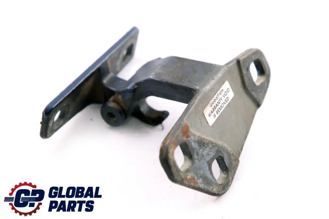 BMW X5 er E53 Scharnier Heckklappe Unten Rechts Links Le Mans Blau 8402183 - SKU 8402183-LMB - Teilenummer 6944104