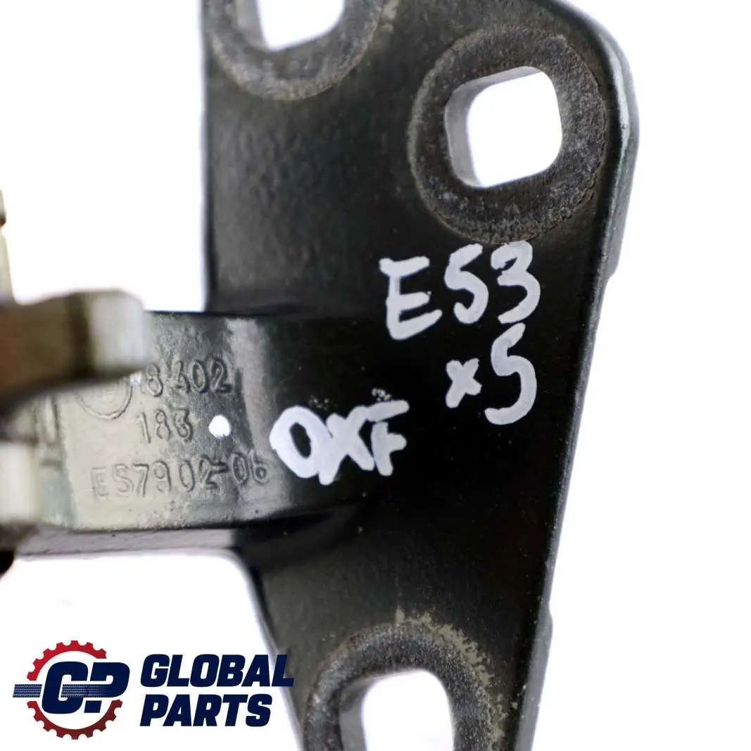 BMW X5 E53 Boot Trunk Lid Lower Hinge Left Right N/O/S Oxfordgruen Oxford Green - SKU 8402183-OXF - Part number 6944104
