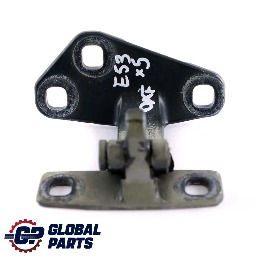 BMW X5 E53 Maletero Tapa Inferior Bisagra Izquierda Derecha Oxford Verde 8402183