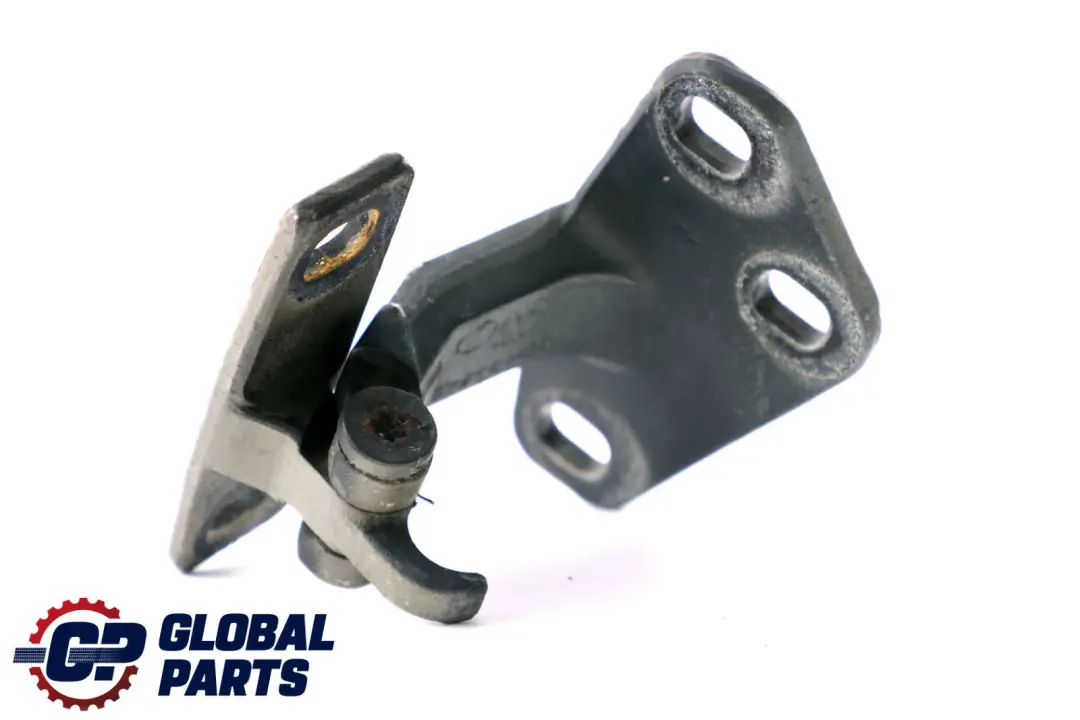 BMW X5 E53 Cardine Portellone Inferiore Destro SX Blu Topazio 364 - SKU 8402183-TPB - Numero di parte 8402183
