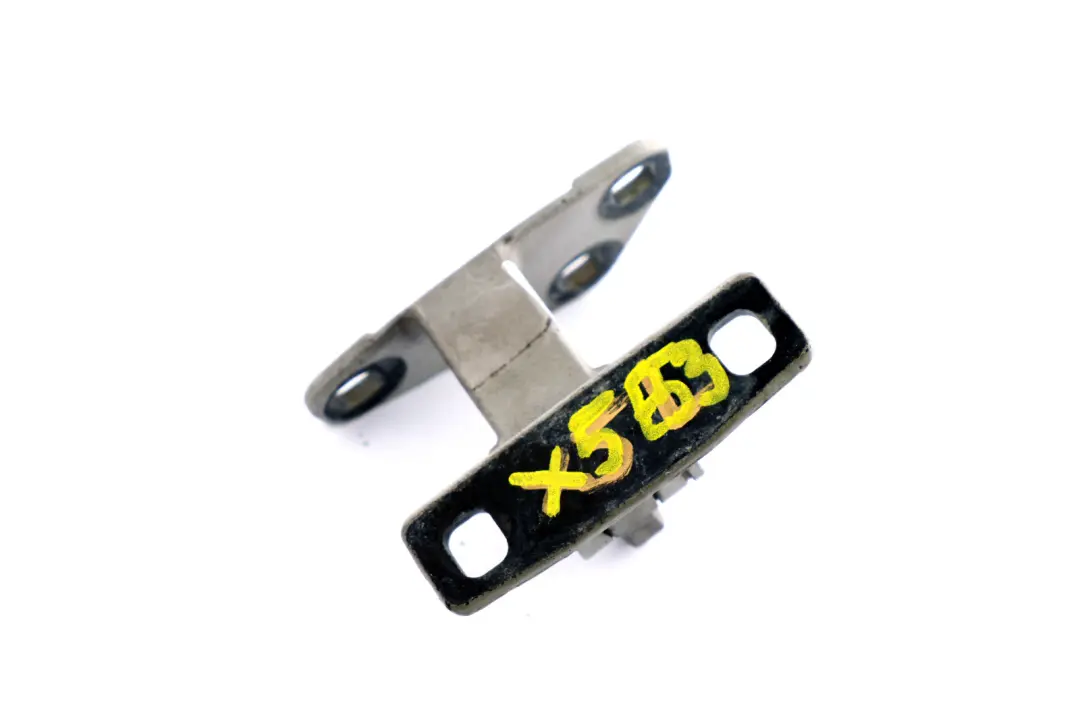 Maletero Tapa Inferior Bisagra Izquierda Derecha Plata para BMW X5 E53 con número de pieza 8402183 BMW X5 E53 Maletero Tapa Inferior Bisagra Izquierda Derecha Plata - SKU 8402183-TS - Número de pieza 8402183