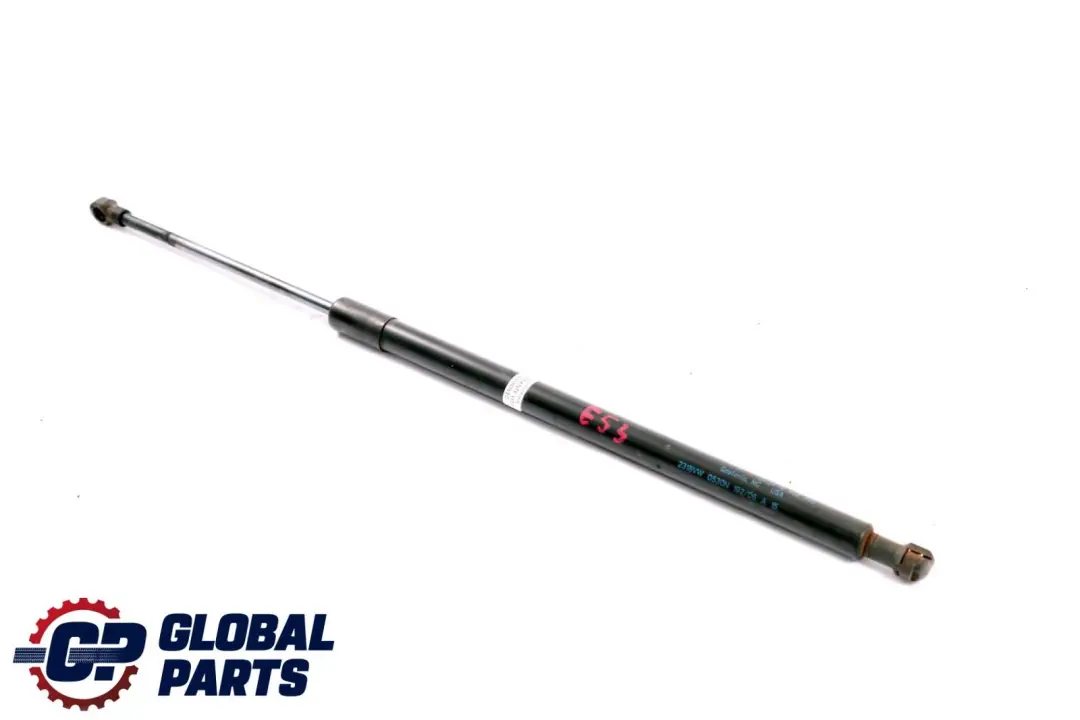 BMW X5 Series E53 Gas Pressurized Spring Tailgate Upper Boot Lid - SKU 8402405 - Part number 8402405