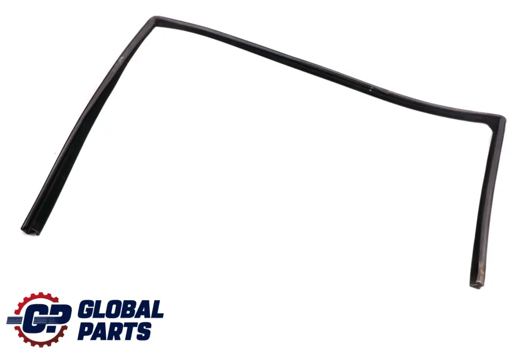 BMW X5 er E53 Gummidichtung Abdichtung Fensterführung Tür Vorne Links - SKU 8402527 - Teilenummer 8402527