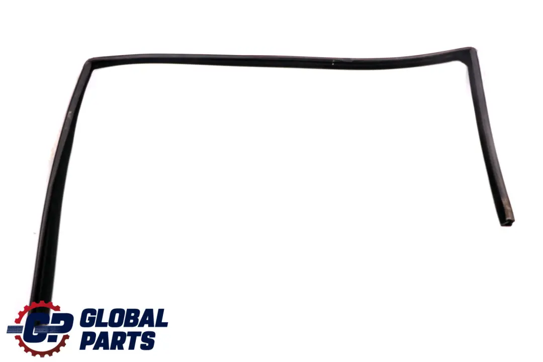 Guia De Ventana Junta De Sellado Puerta Delantera Izquierda para BMW E53 con número de pieza 8402527 BMW E53 Guia De Ventana Junta De Sellado Puerta Delantera Izquierda - SKU 8402527 - Número de pieza 8402527