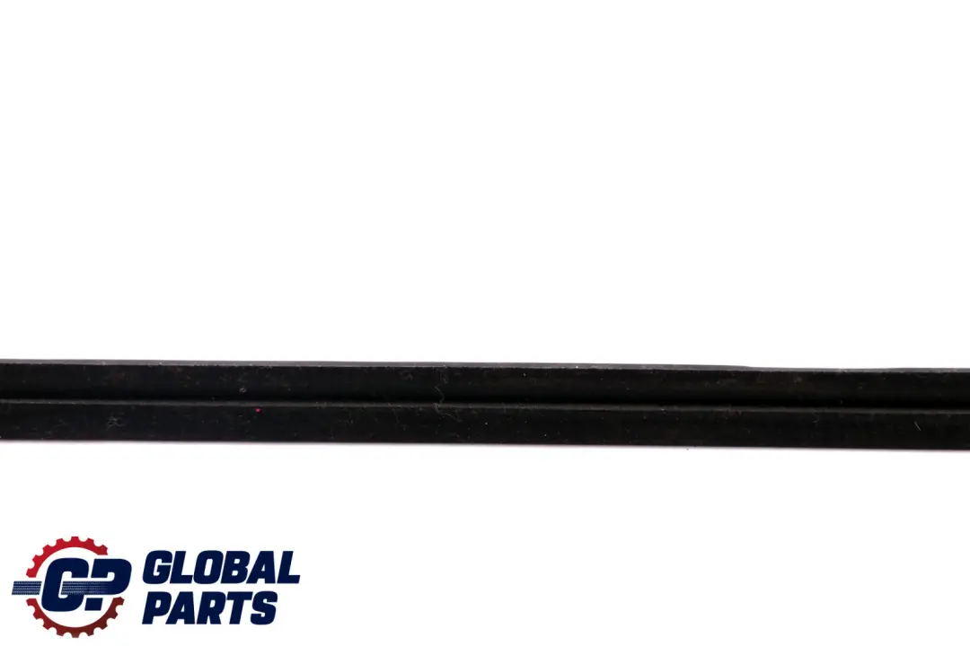BMW X5 E53 Chiusino Interno Destro Nero Porta Davanti Guarnizione - SKU 8402556 - Numero di parte 8402556