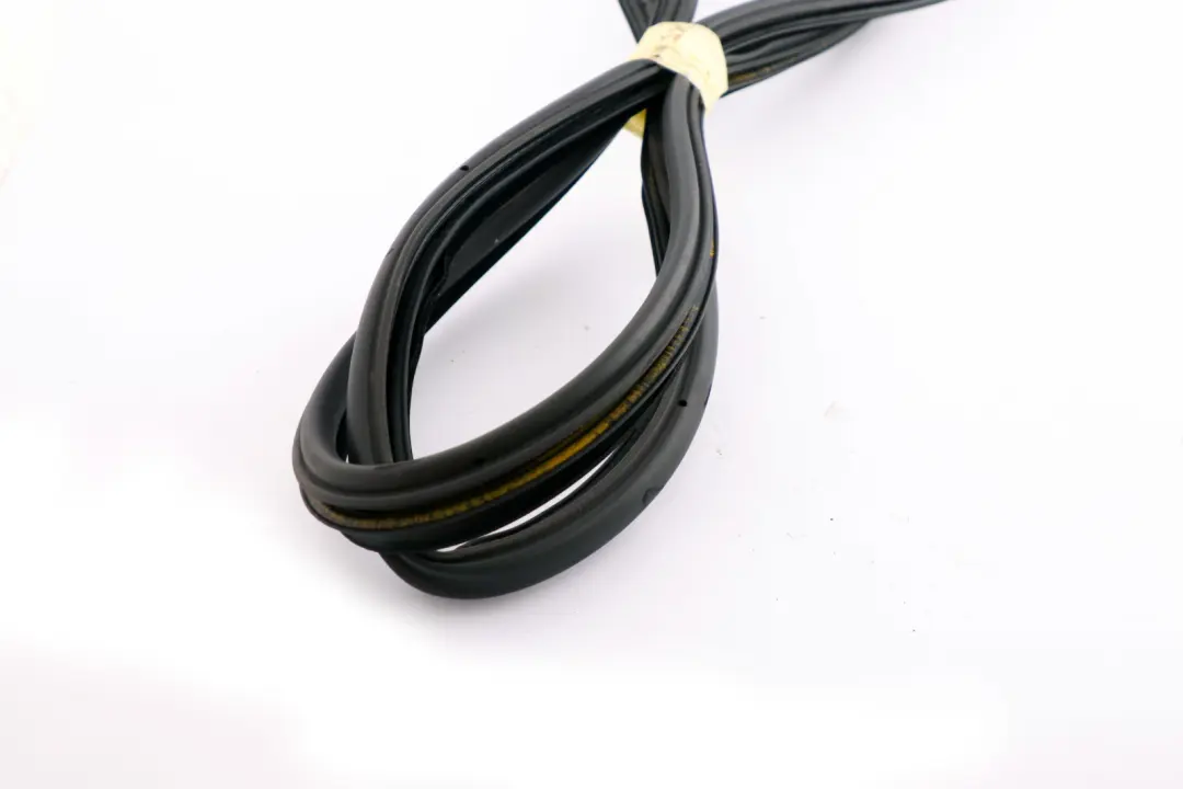 Paraspigoli Guarnizione Tenuta Posteriore Sinistra Dx Porta Nero per BMW X5 E53 con numero di parte 7025580 BMW X5 E53 Paraspigoli Guarnizione Tenuta Posteriore Sinistra Dx Porta Nero - SKU 8402585 - Numero di parte 7025580