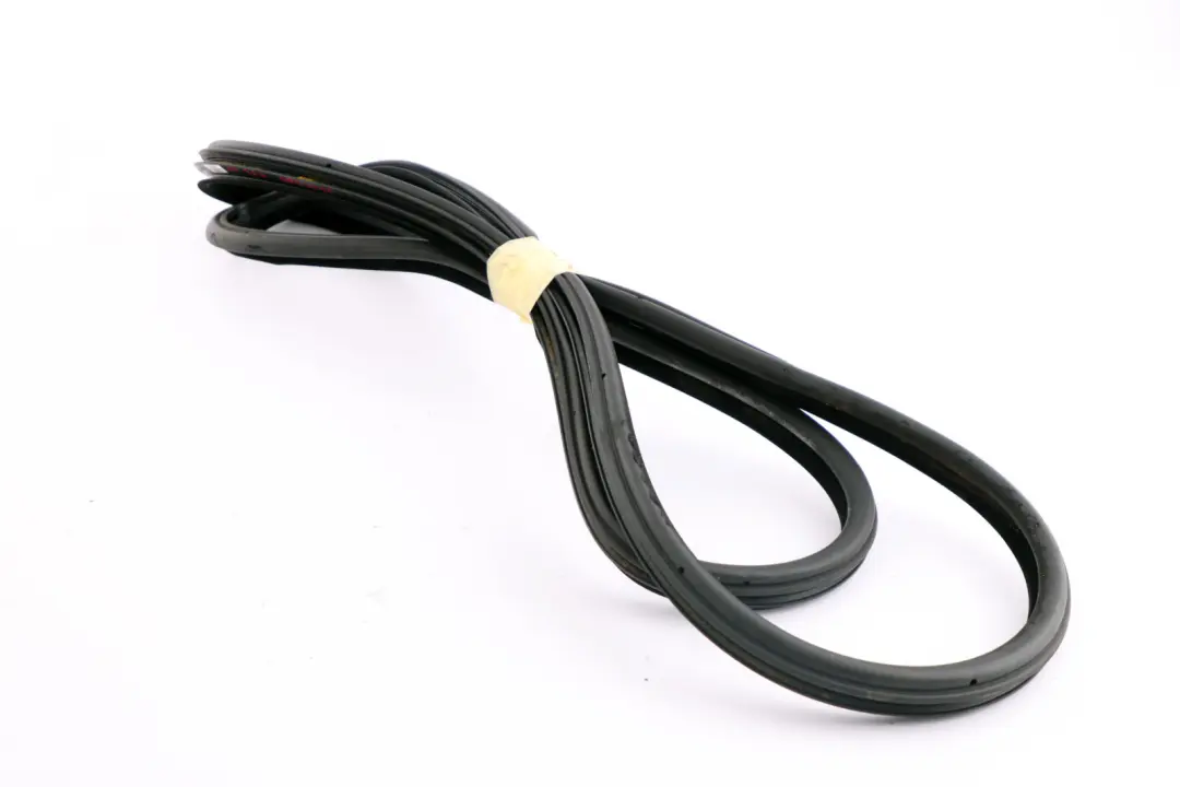 Paraspigoli Guarnizione Tenuta Posteriore Sinistra Dx Porta Nero per BMW X5 E53 con numero di parte 7025580 BMW X5 E53 Paraspigoli Guarnizione Tenuta Posteriore Sinistra Dx Porta Nero - SKU 8402585 - Numero di parte 7025580