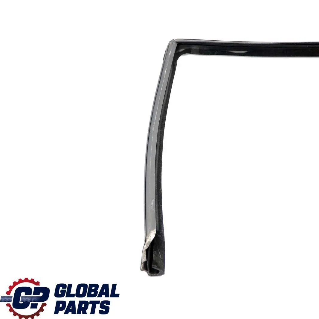 BMW X5 Series E53 Door Window Guide Rear Left N/S Seal Sealing - SKU 8402591 - Part number 8402591